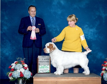 Clumber Spaniel Our Dogs